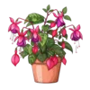 Emoji 003