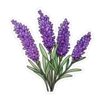 Emoji 004