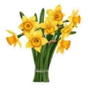 Emoji 005