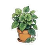 Emoji 006