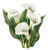 Эмодзи 009