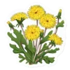 Эмодзи 010