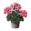 Emoji 027
