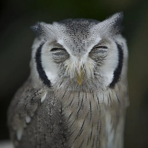 Стикер 034