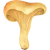 Emoji 002