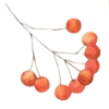 Emoji 022