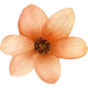 Эмодзи 034