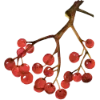Эмодзи 039