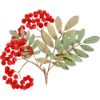 Эмодзи 045
