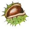 Emoji 050