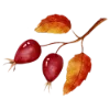Emoji 054