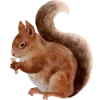 Emoji 058
