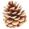 Эмодзи 066
