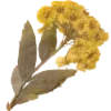 Эмодзи 104
