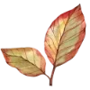 Эмодзи 116