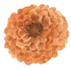 Эмодзи 120
