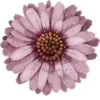 Эмодзи 125