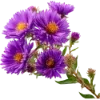 Эмодзи 126