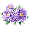 Эмодзи 127