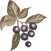 Эмодзи 133