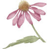 Эмодзи 135