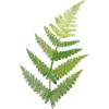 Эмодзи 139