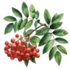 Эмодзи 140