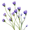 Эмодзи 141