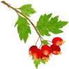 Эмодзи 142