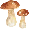 Эмодзи 152