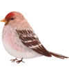 Эмодзи 154