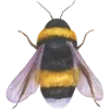 Эмодзи 155