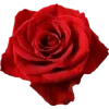 Emoji 024
