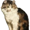 Emoji 024