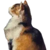 Emoji 026