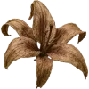 Emoji 044