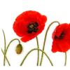 Эмодзи 161