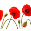 Эмодзи 162