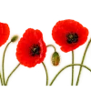 Эмодзи 163