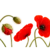 Эмодзи 164