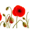 Эмодзи 165