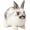 Emoji 002