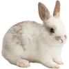 Emoji 004