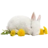 Emoji 006