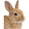 Emoji 010