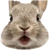 Emoji 014