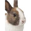 Emoji 020