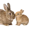 Emoji 022