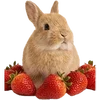 Emoji 023