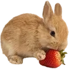 Emoji 024